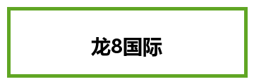 龙8国际