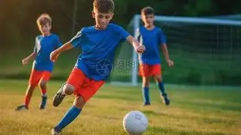 新赛季辽篮阵容揭晓：芬森巴斯领军，三位新兵加盟