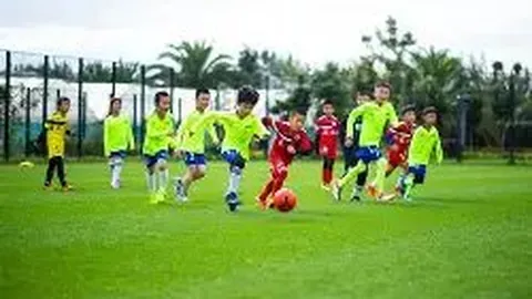 龙8国际 产品 035337 14u