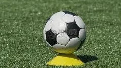 龙8国际 产品 112148 dzf