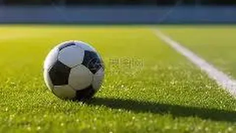 龙8国际 产品 090419 sg3